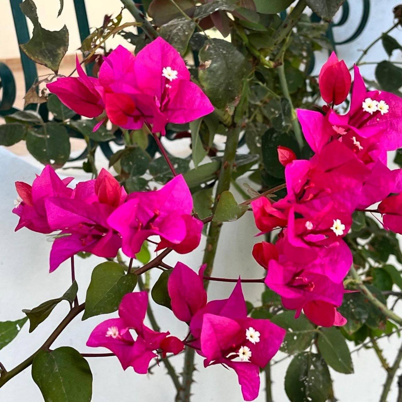 Relax Natura Αγκριτζέντο Εξωτερικό φωτογραφία